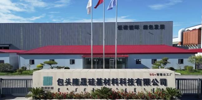 Longsheng Silicon-based Material Technology co., Ltd. Ltd.