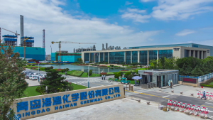 Qingdao Haiwan Group Co., Ltd. (Haijing Brand), caustic soda food additive manufacturer and supplier